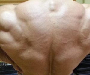 Primary Back Workout