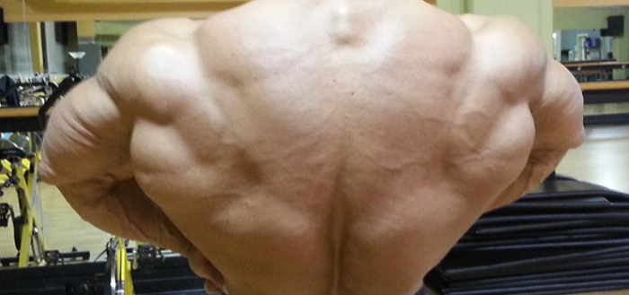 Bodybuilding Day: Back and Biceps