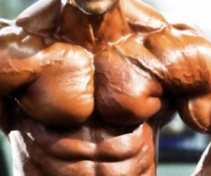 Bodybuilding Day: Chest, Shoulders, Triceps