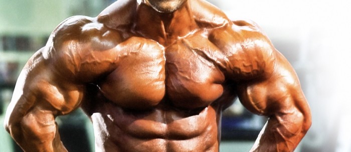 Bodybuilding Day: Chest, Shoulders, Triceps