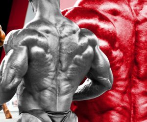 Bodybuilder Back: A Different Approach