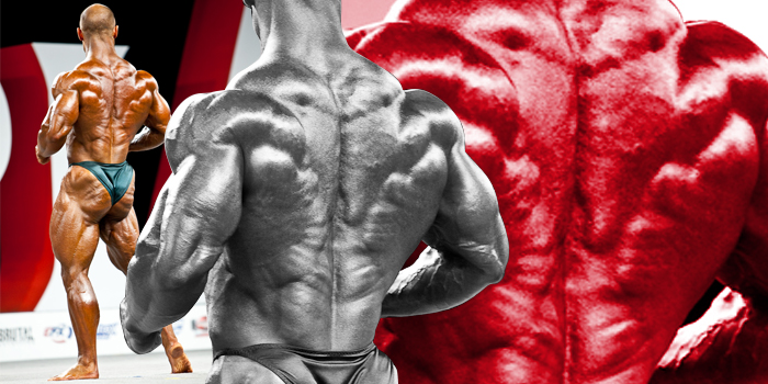 Bodybuilder Back: A Different Approach