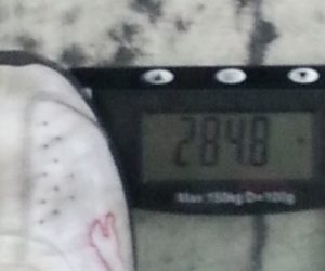Legs 3/13/15
