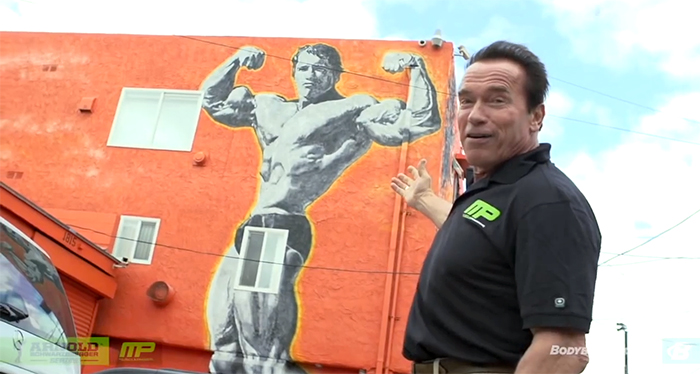 Schwarzenegger Guides a Tour of Venice Beach