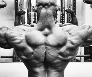 Back Workout