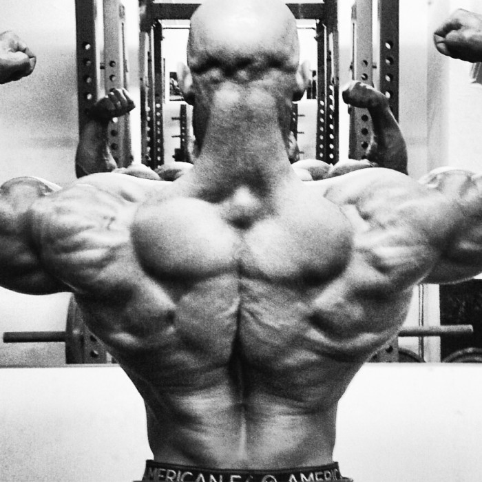 Back Workout