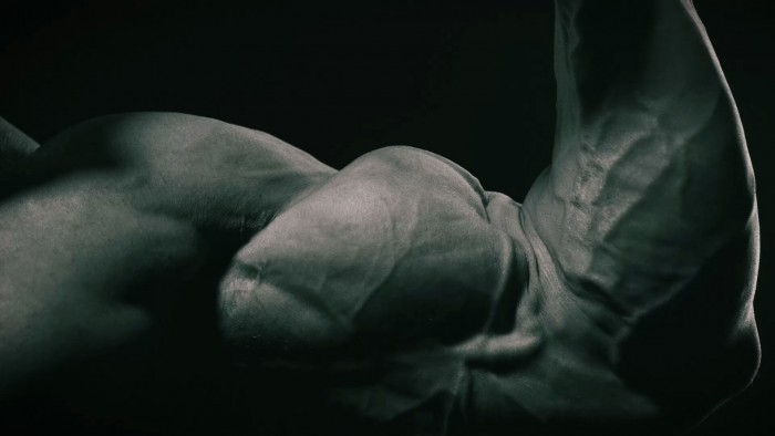 Should Powerlifters do curls?