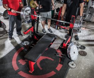 Olympia Deadlift Prep 2015: Bench