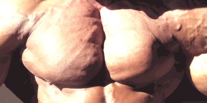 Bodybuilding: Absent of Homophobia?