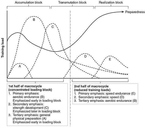 non sequential model