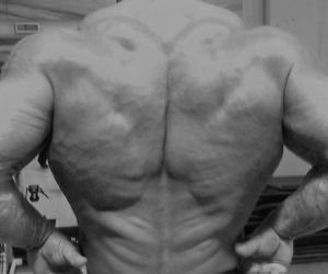 Primary Back Workout