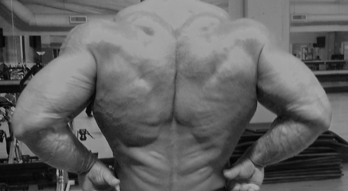 Primary Back Workout