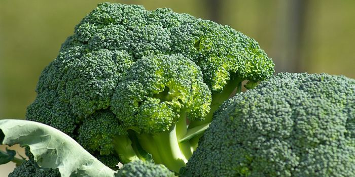 4 Reasons to Reconsider Eating Vegetables