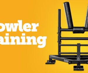 Harry Selkow's Prowler® Training Progression