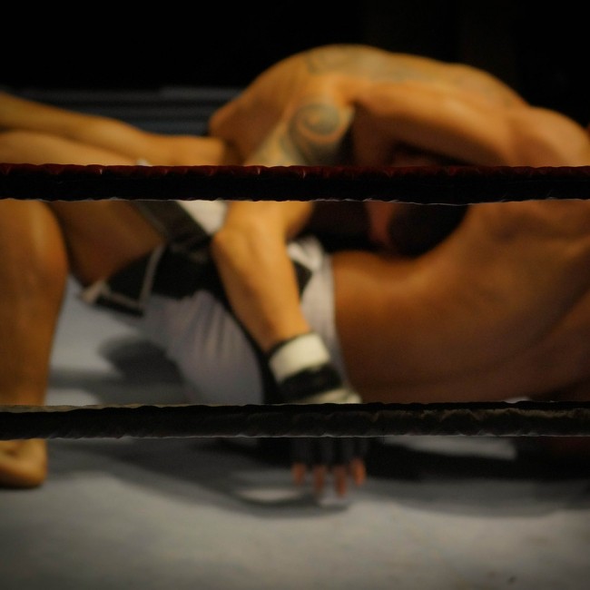 wrestling-384652_1280