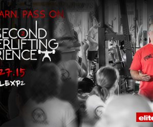 The Powerlifting Experience II: By the Numbers