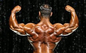 Primary Back Workout