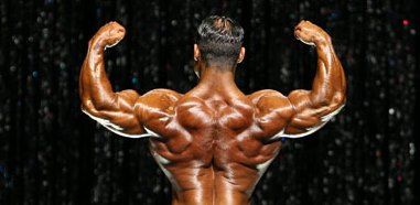 Primary Back Workout