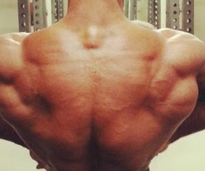 Primary Back Training