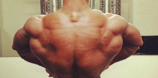 Primary Back Training