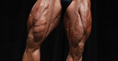 Bodybuilding Day: Leg Work