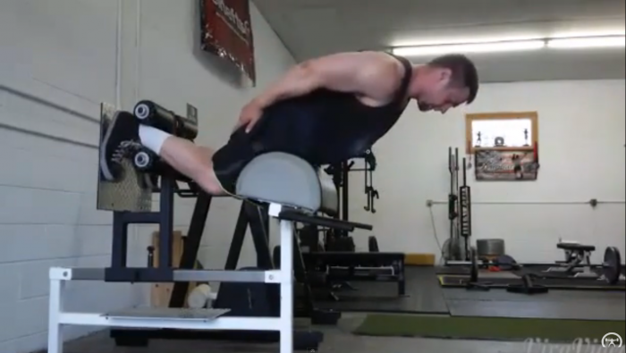 elitefts™ Glute-ham Raise Ladders