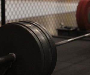 Elitefts Female Powerlifters Survey