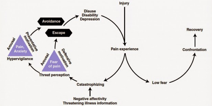 Athletes and Fear Avoidance