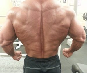 Primary Back Training