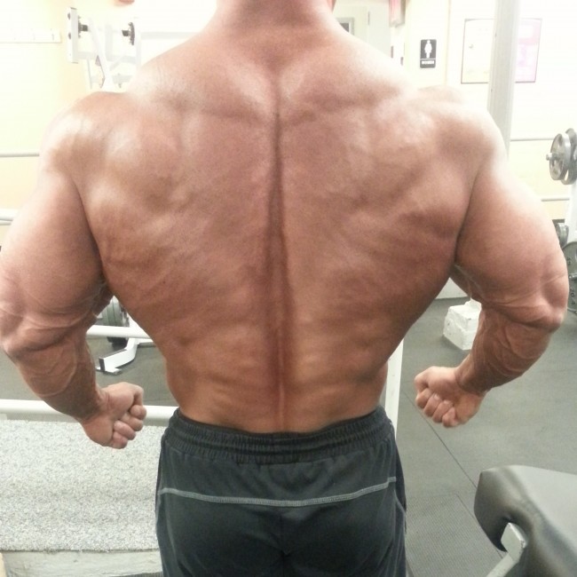 Primary Back Training