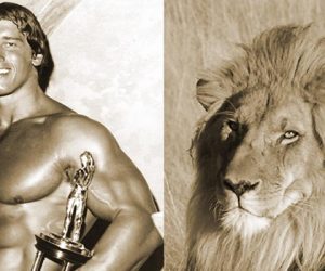 Arnold Schwarzenegger Is Not Happy About Cecil the Lion