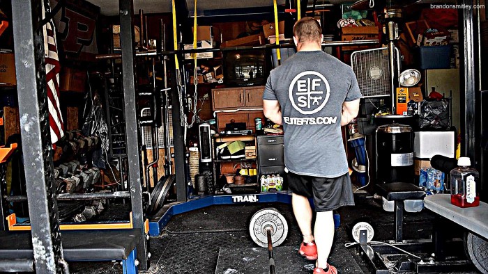 Dynamic Effort Upper: Speed Bench and Latissimus