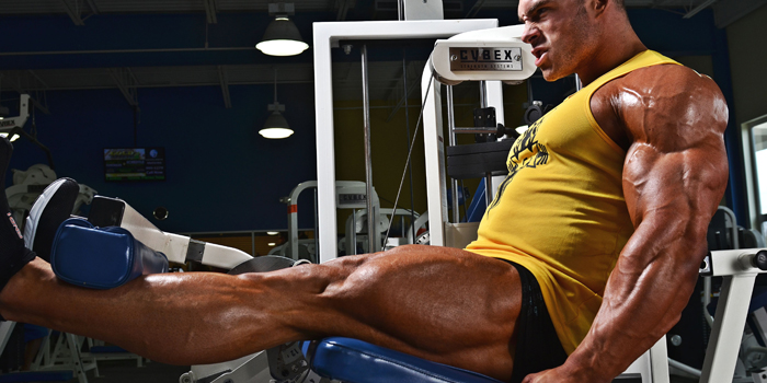 5 Protocols to Build Bigger, Stronger Legs