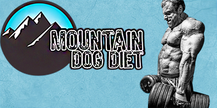 Mountain dog Header