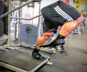 Primary Leg Workout