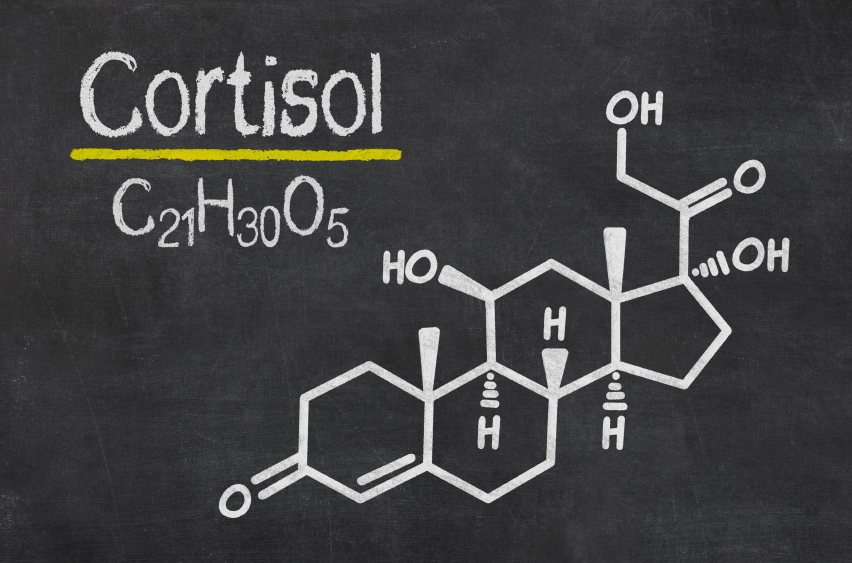 Blackboard with the chemical formula of cortisol