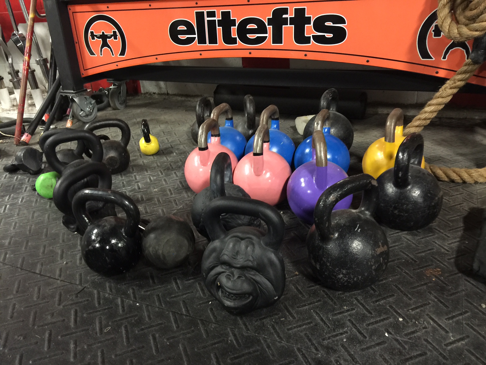 DAILY MOVEMENT - Kettlebell Hammer Curls