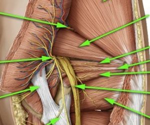 Finally Diagnosed Hip Pain