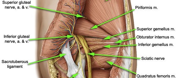 Finally Diagnosed Hip Pain