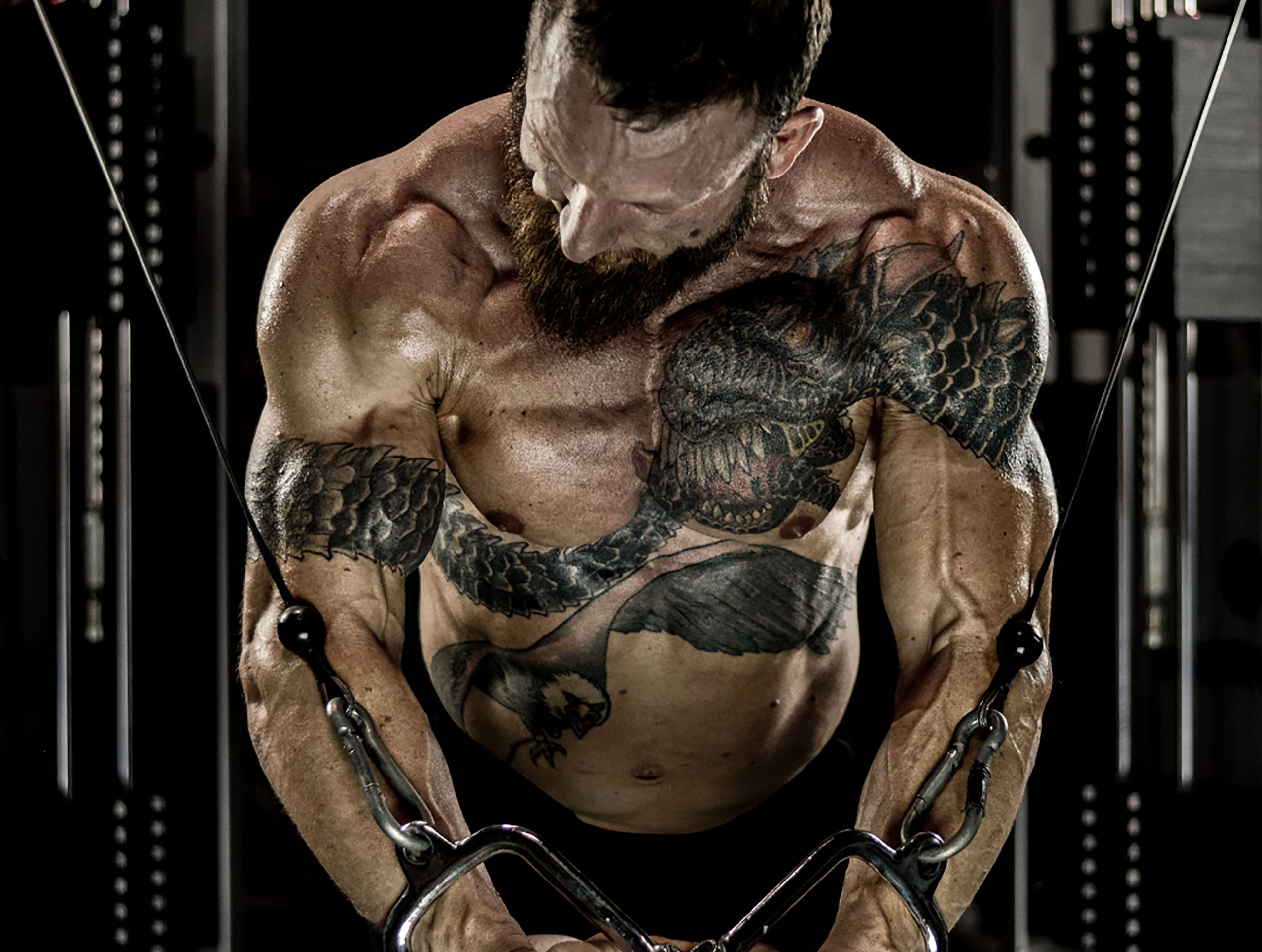 Crazy week of Photo Shoot, Travel, and working the Arnold - SHOOT IMAGES INCLUDED