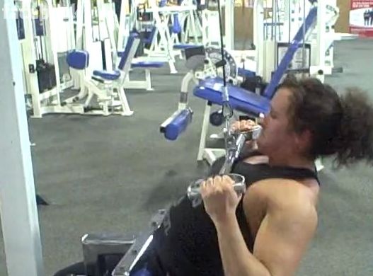 DB Chest Press. 