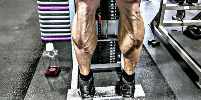 Calves to Cows — 5 Methods to Improve Your Calf Development