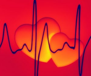 Nutrient Timing vs Content: Mitochondrial Circadian Rhythm 