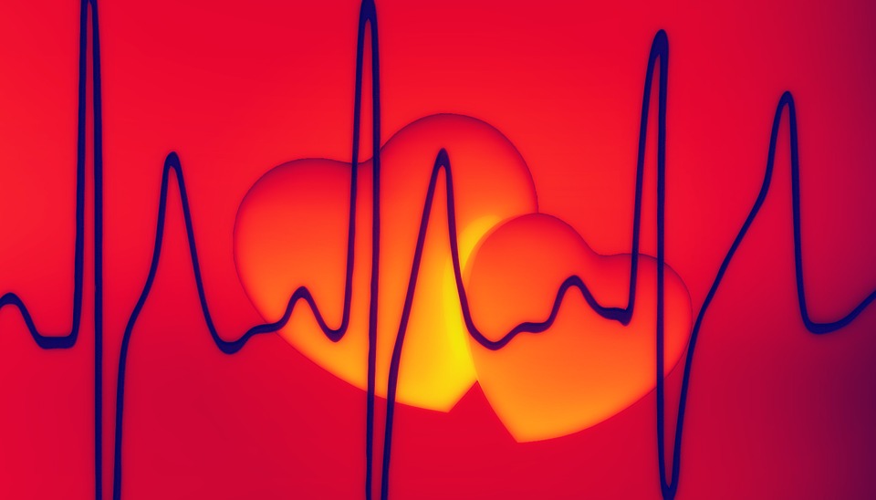 Nutrient Timing vs Content: Mitochondrial Circadian Rhythm 