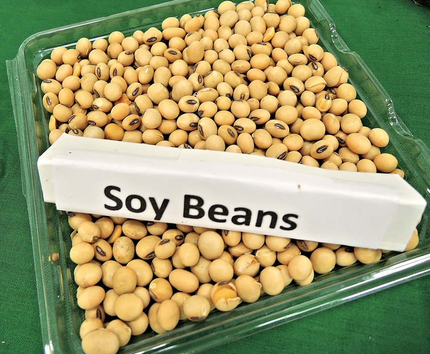 New Findings Concerning Soy Protein, Fertility and Your Endocrine System