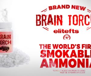 New Product: elitefts Brain Torch