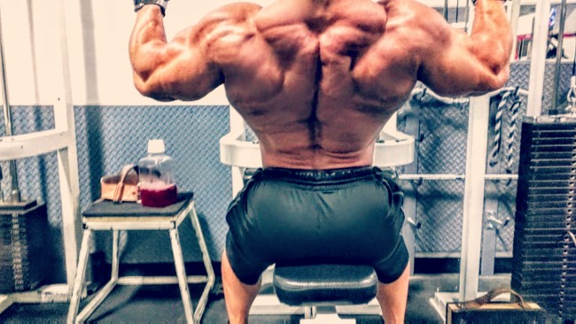 Primary Back & Biceps