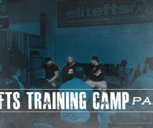 WATCH: Training Camp Q&A — Overtraining, Openers, and Body Composition 