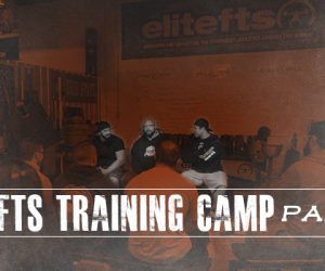 WATCH: Training Camp Q&A — Recovery and Weight Class Transition 