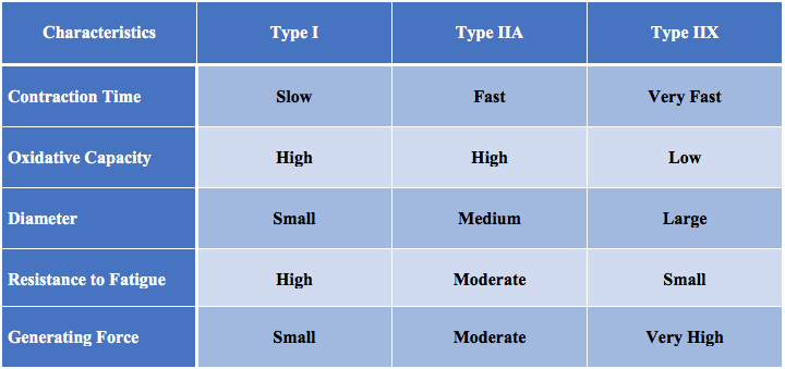 Types of comparisons. (IIA Тип по Castellvi).. Lightning and Type Comparison. He Types very fast.